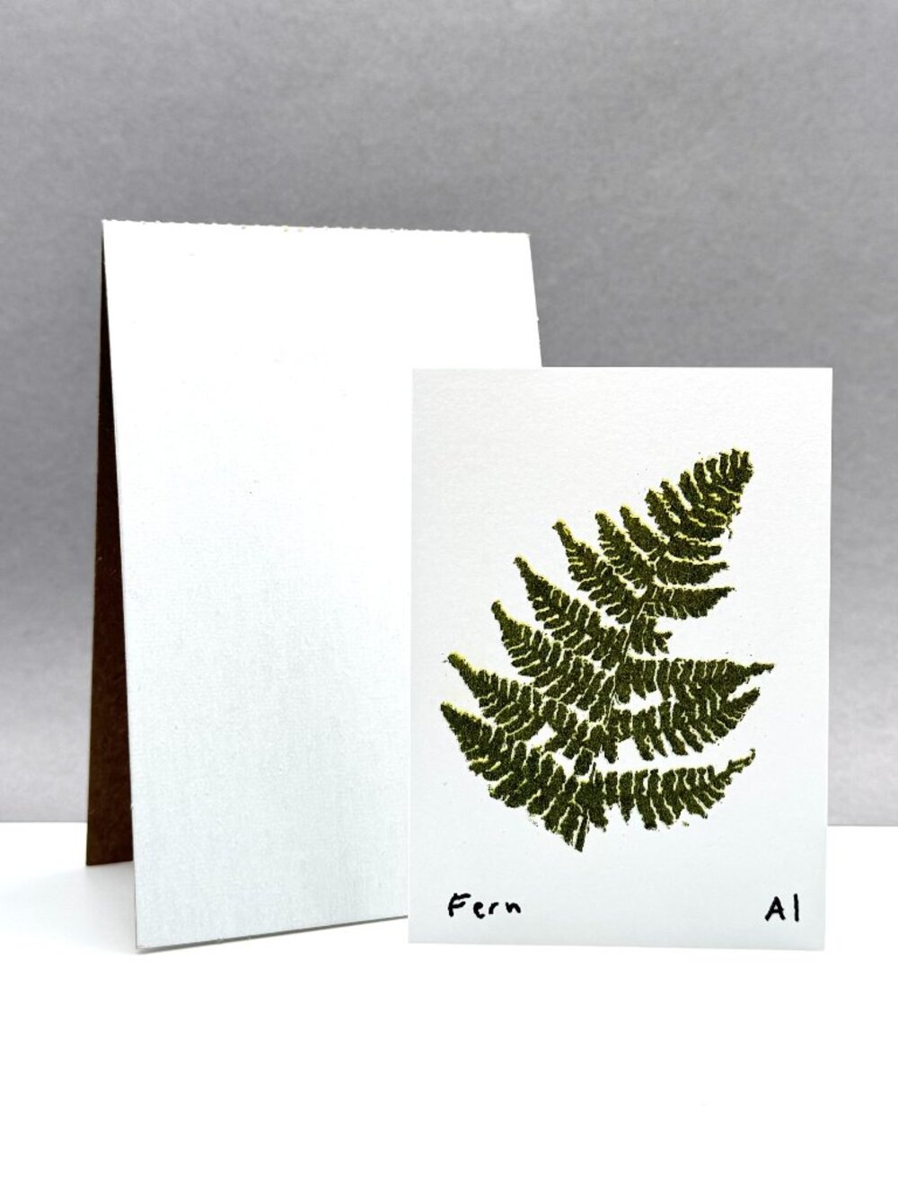 Ana Inciardi Fern Mini Art Print